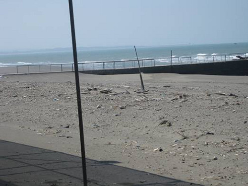 趕上這個夏季   崎頂海水浴場將復業