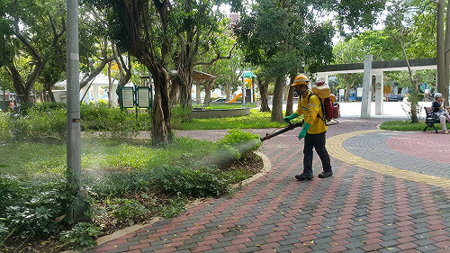 北市確診4例本土性登革熱  患者未去南部