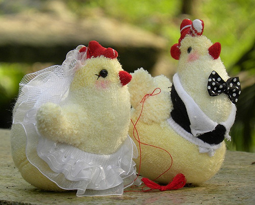 襪娃達人創作結婚儀式的「帶路雞」