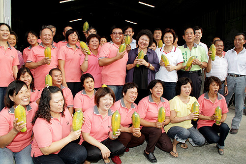 六龜農產優質 陳菊鼓勵加值加工