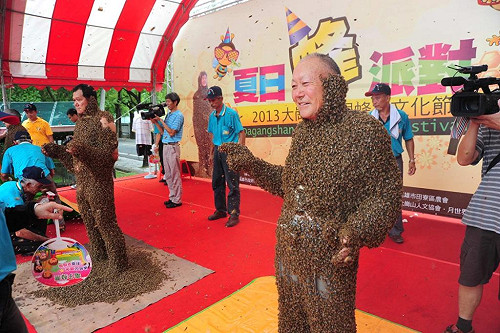 大崗山龍眼蜂蜜減產  陳菊保証不漲價