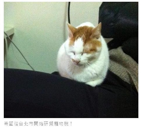 台北課徵寵物稅？連官網提案引發熱議