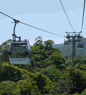 貓纜1週3次斷電  郝龍斌：向台電求償