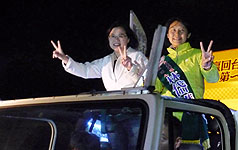 南高2席立委補選  民進黨全勝