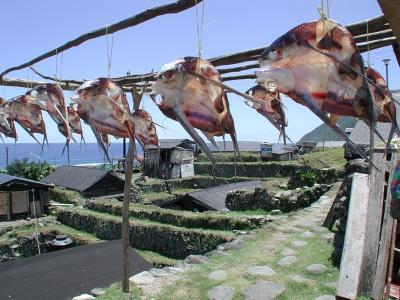 你支持7-11進駐蘭嶼嗎？  線上PK