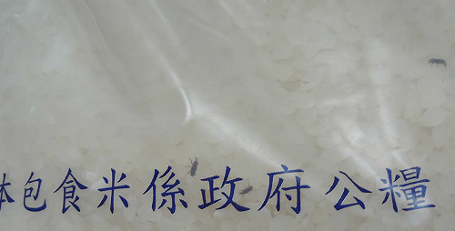 公糧米竟含米蟲  區公所美意打折扣