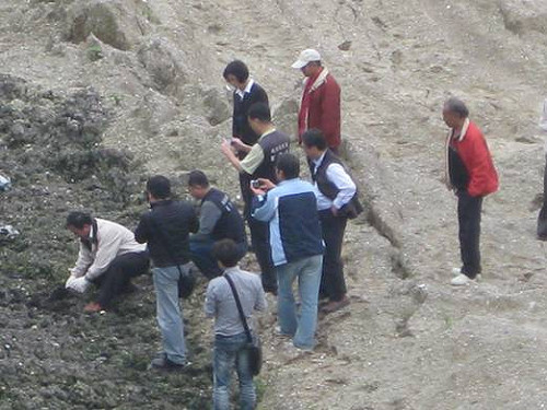 造橋毒汙泥  劉政鴻認環團檢驗待分析