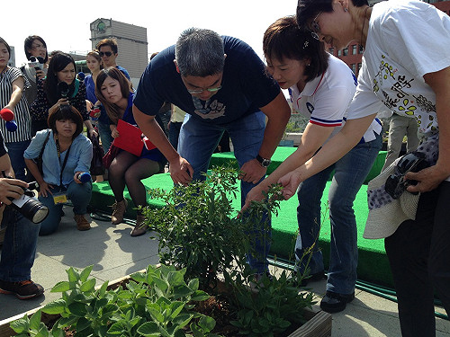 毛豆豌豆分不清  連勝文：我會吃但看不懂