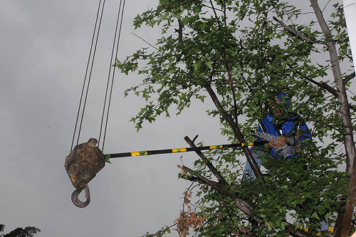 遠雄大巨蛋案 張金鶚：與桃園弊案是2回事