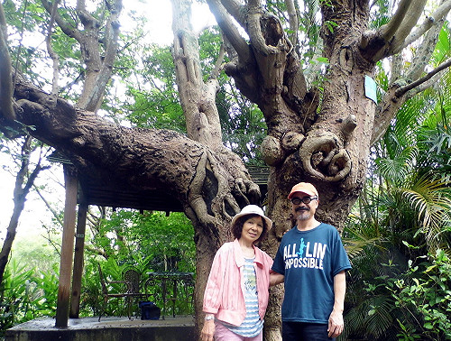 又是葉世文！新竹最美私人花園將被徵收