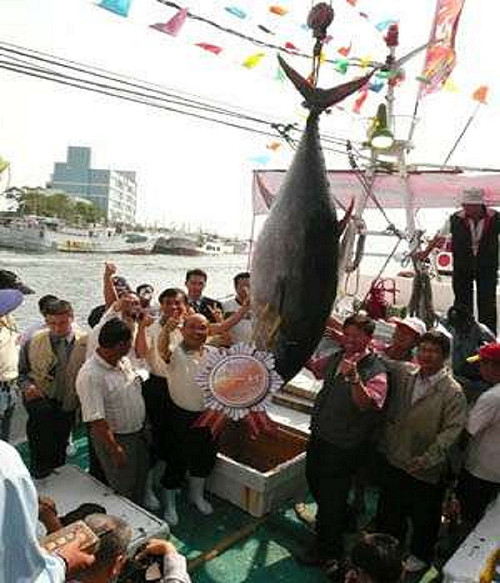 繼續濫捕 聯合國警告:40年後沒有魚可吃