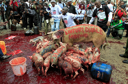 抗議議員自肥  肯亞豬仔包圍國會