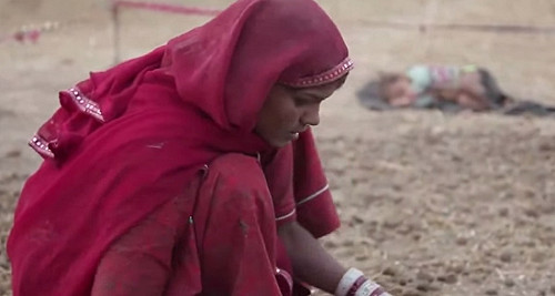 印度鄉村地區僅1/10家庭有冰箱