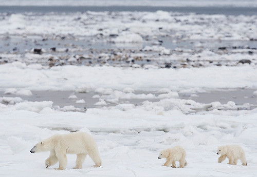 世界氣象組織：2013年有史以來第6熱！