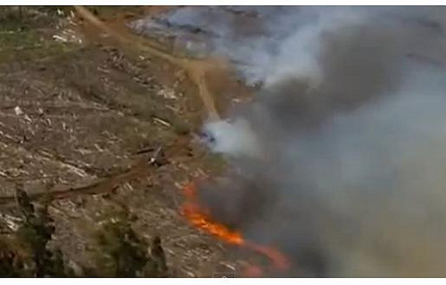 高溫引發山林大火  澳洲千人緊急疏散