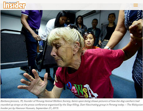 檳城撲殺流浪狗堵狂犬病  國際動保人士跪求