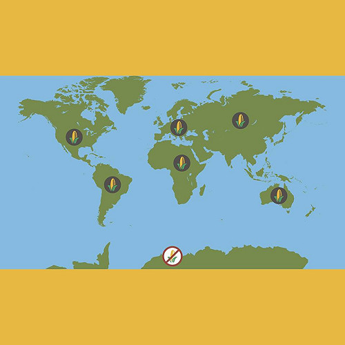 孟山都收購先正達二度碰壁  轉向討好股東