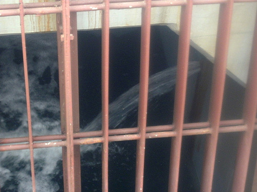 福島污水洩漏  以特殊藥劑防堵成功