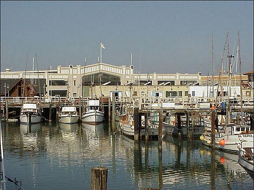 舊金山市治醉客便溺  廣塗反彈尿液油漆