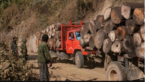 153名中國山老鼠 緬甸法院重判無期徒刑