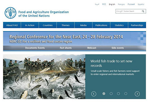 聯合國糧農組織：世界魚品貿易將創新高