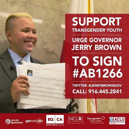 全美第1  加州保障跨性別學童自由選擇權