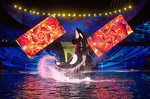 聖地牙哥海洋世界  2017年終結殺人鯨表演