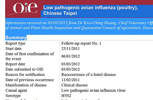 誤導OIE？ 彰化蛋雞場竟還以「低病原」通報