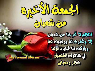 凱瑞訪埃 促停止緊急狀態