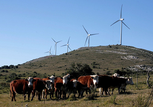 烏拉圭：台灣第84大貿易夥伴國
