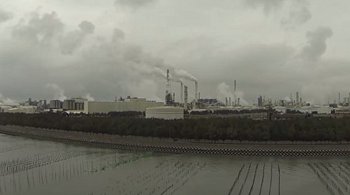 小心！空氣汙染可能加速大腦衰老