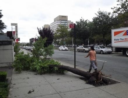 紐約空城以待  艾琳虛驚一場