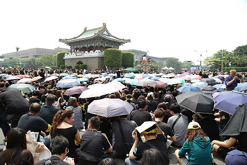 破30萬太陽花 凱道熱情綻放中