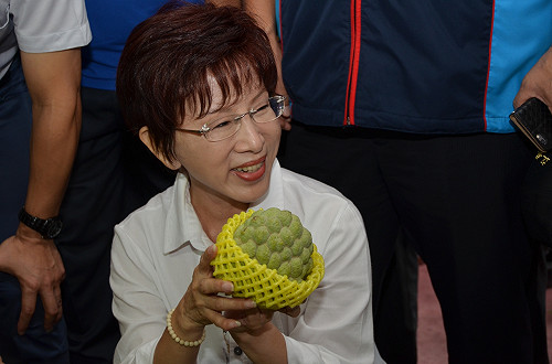 王稱個人輔選無用 柱哼唱「團結力量大」回應