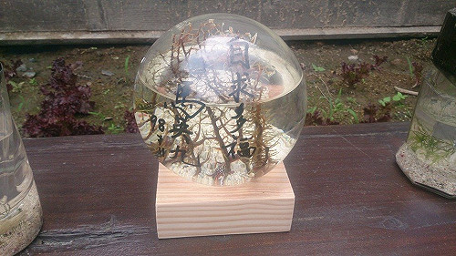 意外見馬題字「自求多福」 柯P忍不住大笑