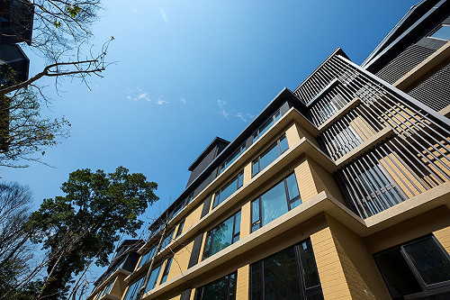 鄉林：「買下監察院」蓋豪宅  監院狠打臉