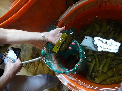 夫妻檔售黑心海帶13年  雄檢起訴求重刑