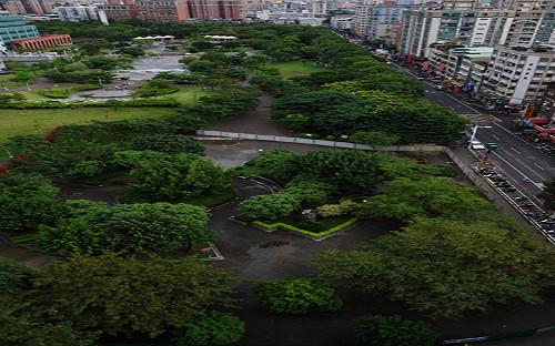 1538份連署民意 要北縣府保留中和4號公園綠樹