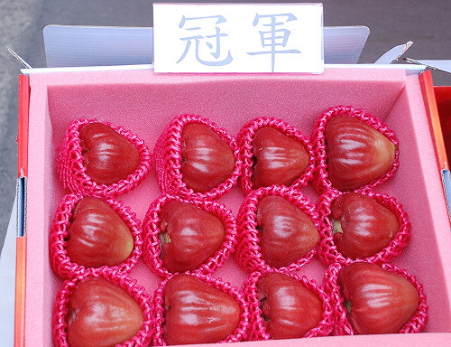 不畏88風災  今年冠軍蓮霧風味一樣棒