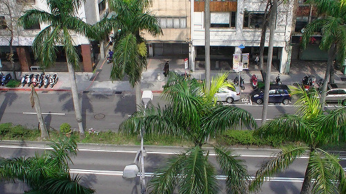 周末假期氣溫回升  難得的艷陽高照天