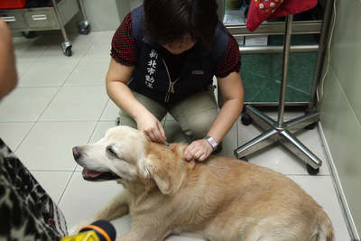 台東咬人錢鼠帶狂犬病毒  全台確診第5例