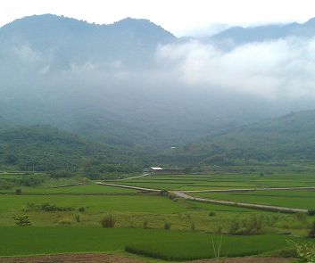 美牛後 美還要跟台灣談稻米 蔬果等議題