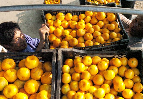 研究：多吃生鮮蔬果 降低心臟病基因風險