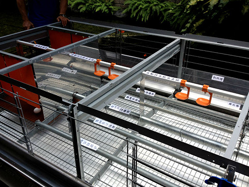 業者引進歐盟模式  母雞也有坐月子中心