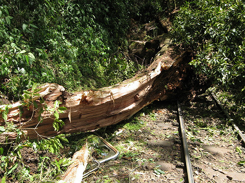 阿里山小火車翻覆  5中國客喪命