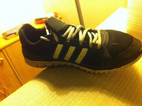 坦承丟鞋　陳為廷：劉政鴻不尊重喪家