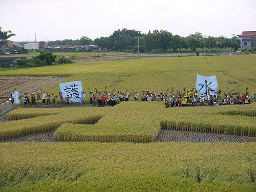 反對中科搶水 農民稻田刻「水」字