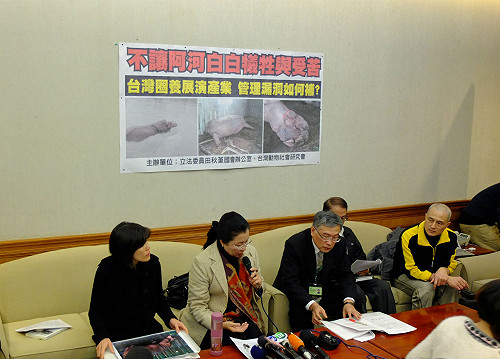 阿河死才出面  動團批北市動物園見死不救