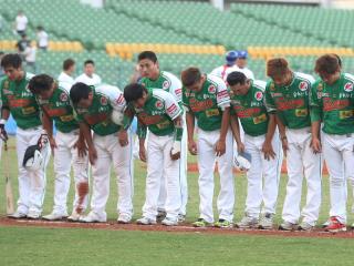 接洽15企業  興農牛仍乏人問津