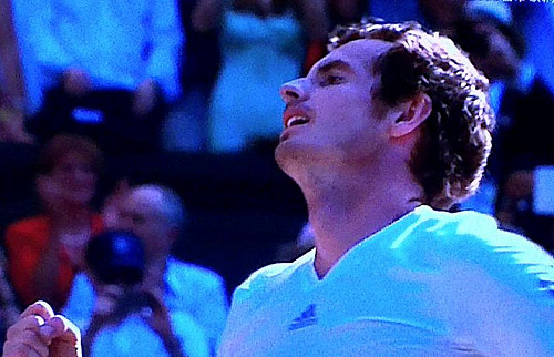 等待了77年  英選手穆雷溫網男單封王